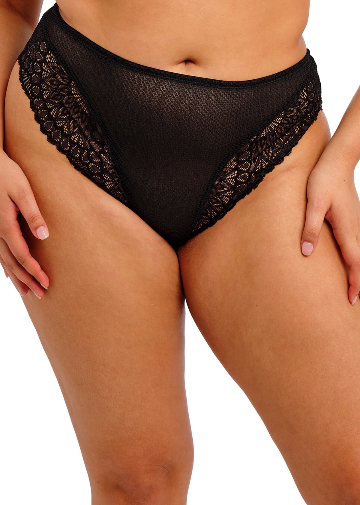 TIERNIE Brief