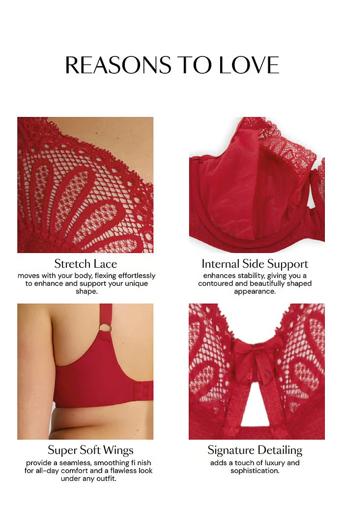 Entice Full Cup Bra