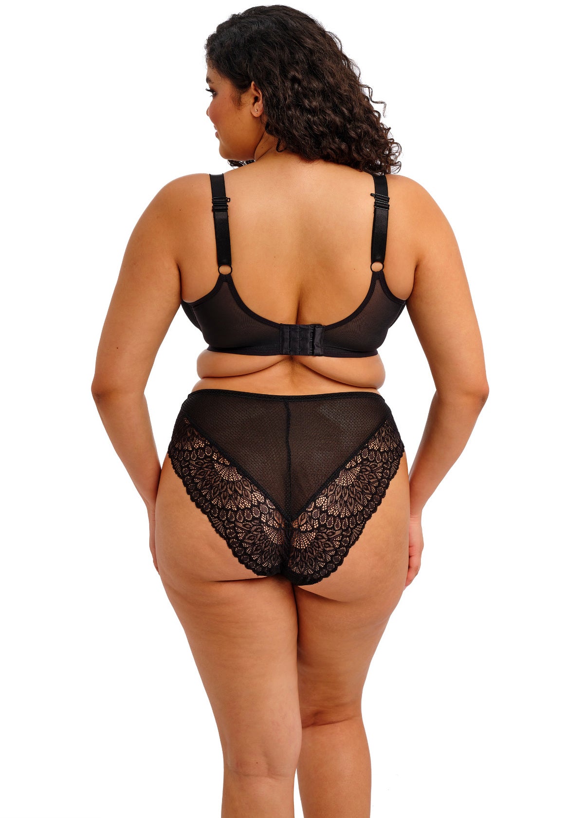 TIERNIE Brief