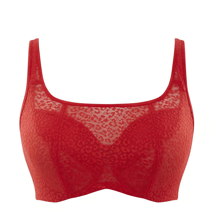 SALE Sofia Dare Top Balconnet