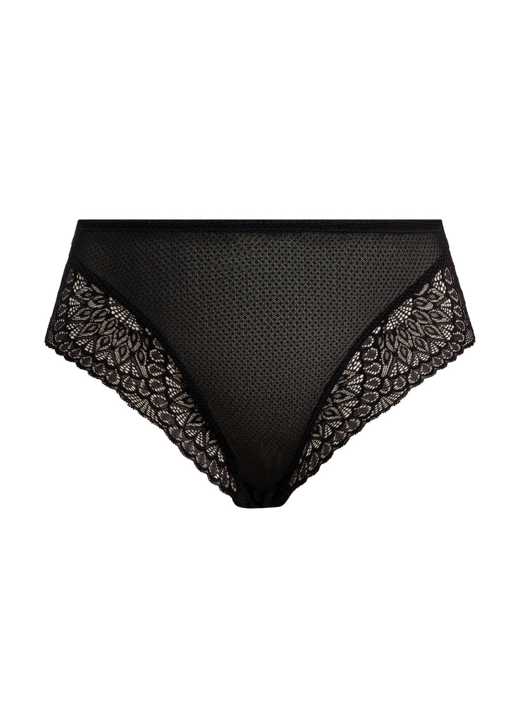 TIERNIE Brief