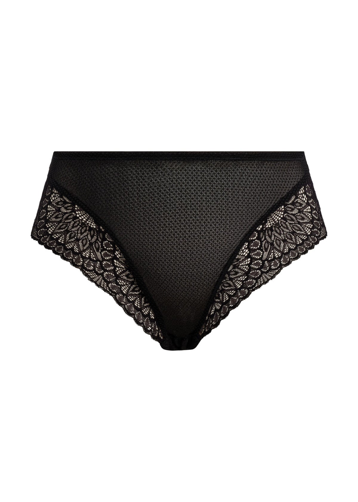TIERNIE Brief